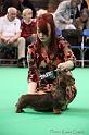 Crufts2011_2 1206